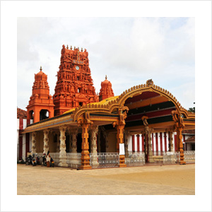 Nallur Temple Events Jaffna Srilanka