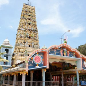Ponnalai Varatharaja Perumal Temple Annual Festival 2020