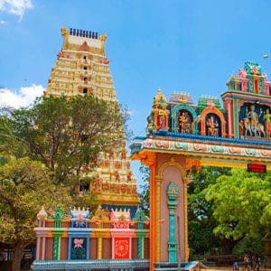 Keerimalai Naguleswaram Temple Annual Festival