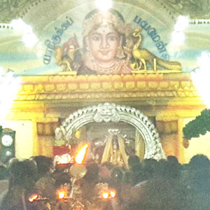 Selvasanidhi Murugan Annual Festival 2022