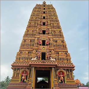 Oddusuddan Thaanthoonreswarar Temple Festival