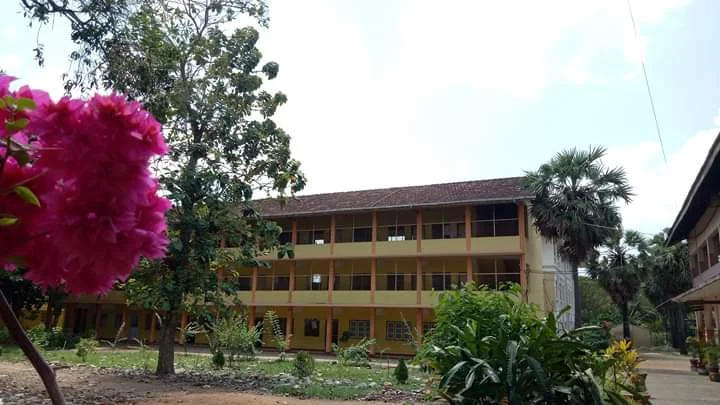 school