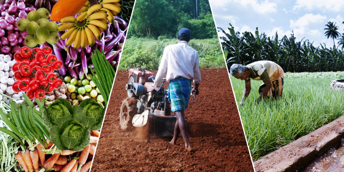 Agriculture